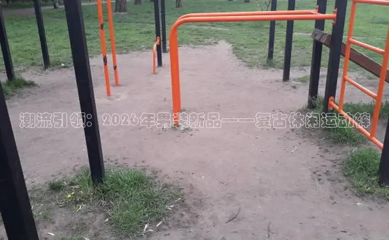 飞速体育